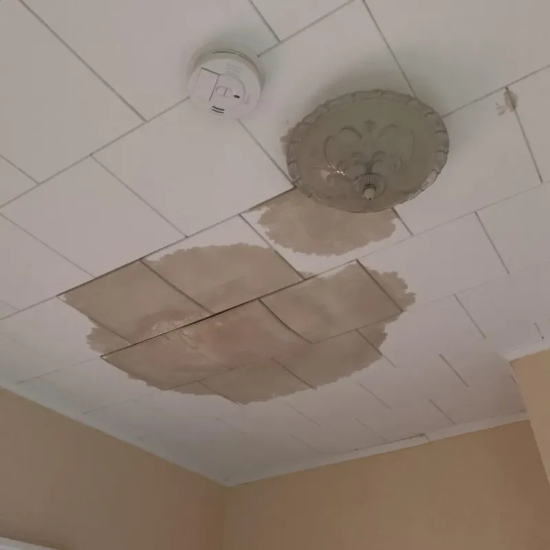 Ceiling Water Damage Repair in Hayes Center, NE