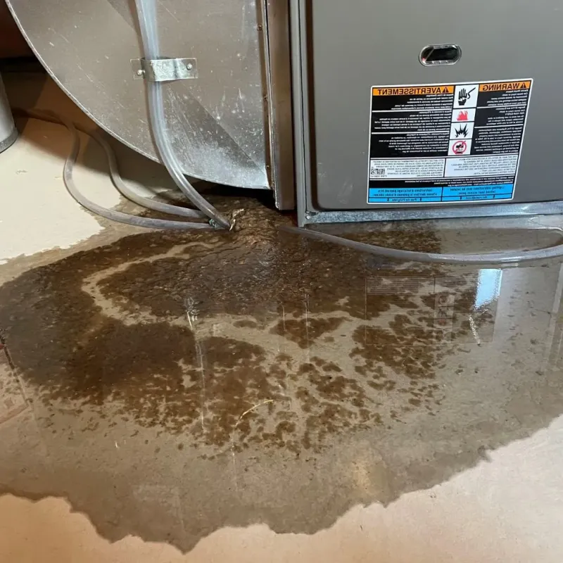 Pipe Burst and Leak Restoration in Hayes Center, NE