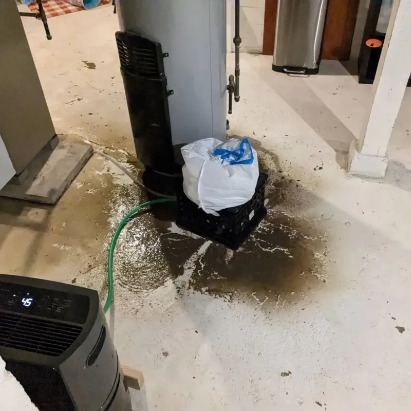 Sewage Backup Cleanup Service in Hayes Center, NE